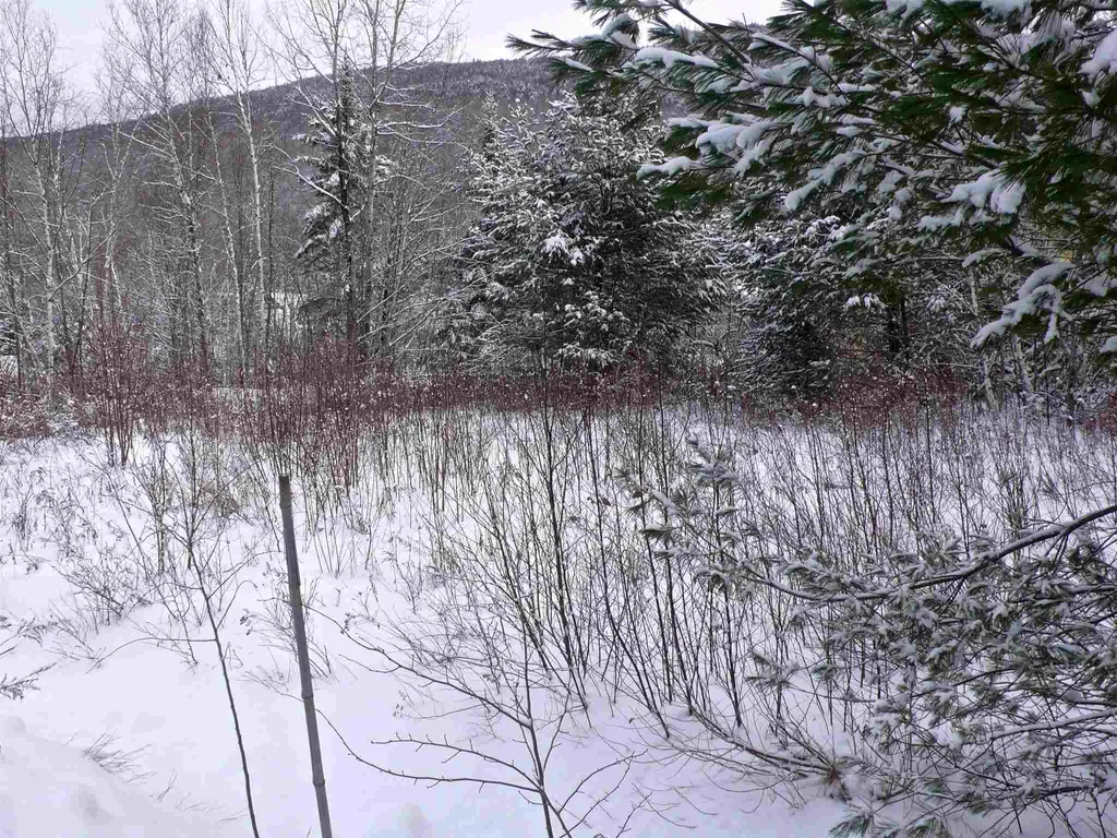 24-23 Bear Brook Lane Waterville Valley NH 03215