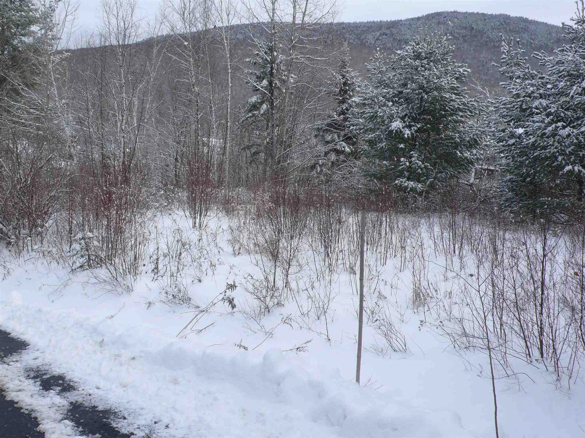 24-23 Bear Brook Lane Waterville Valley NH 03215