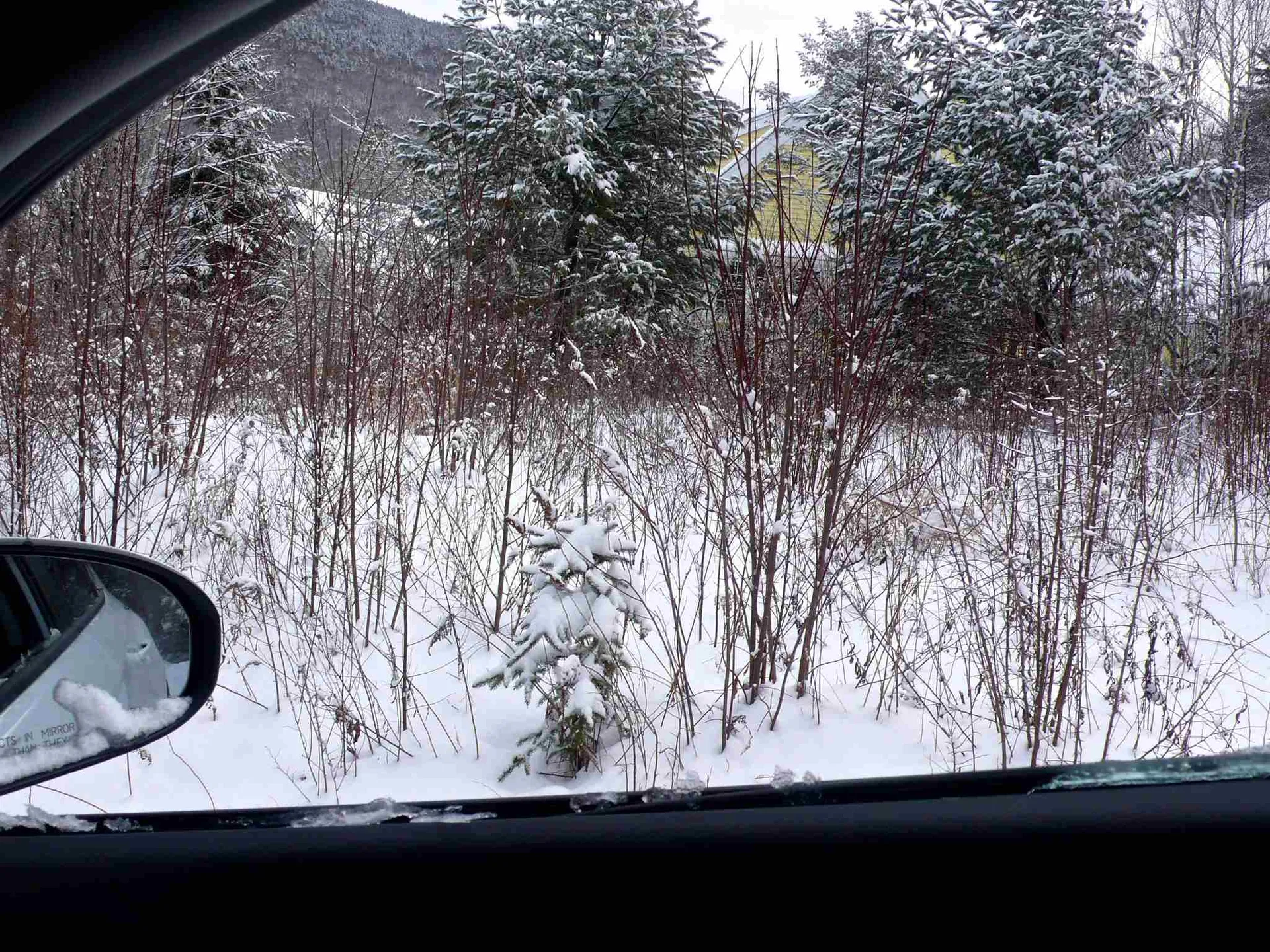 24-23 Bear Brook Lane Waterville Valley NH 03215