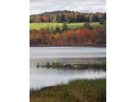 Little Salem Road Derby VT 05829