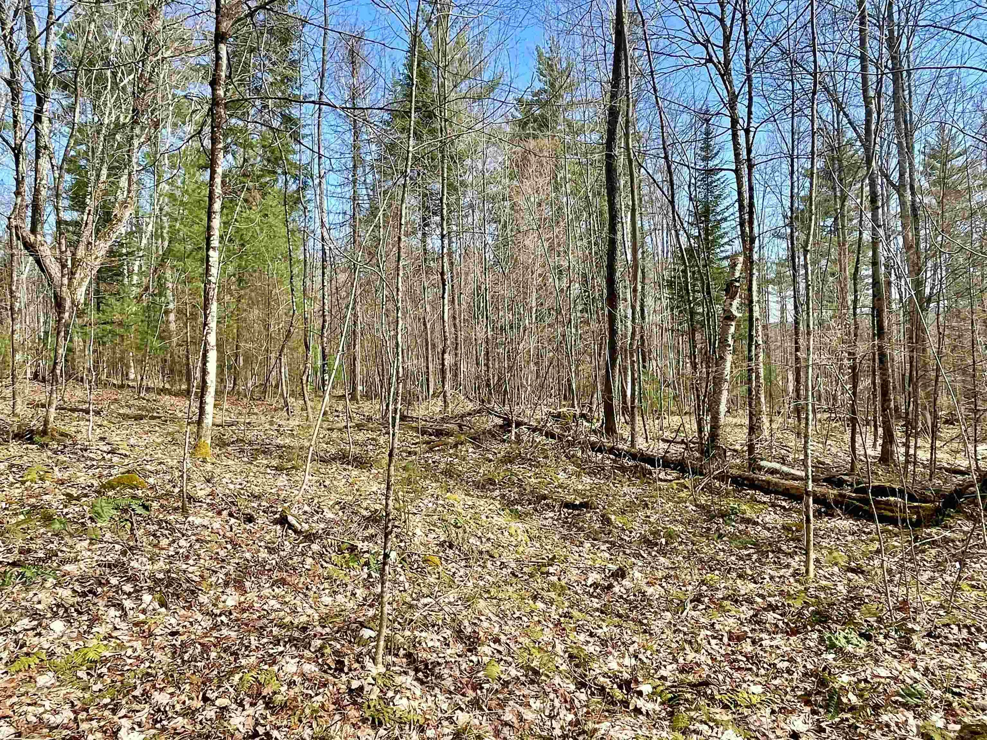 00 Deerfield Drive Haverhill NH 03785