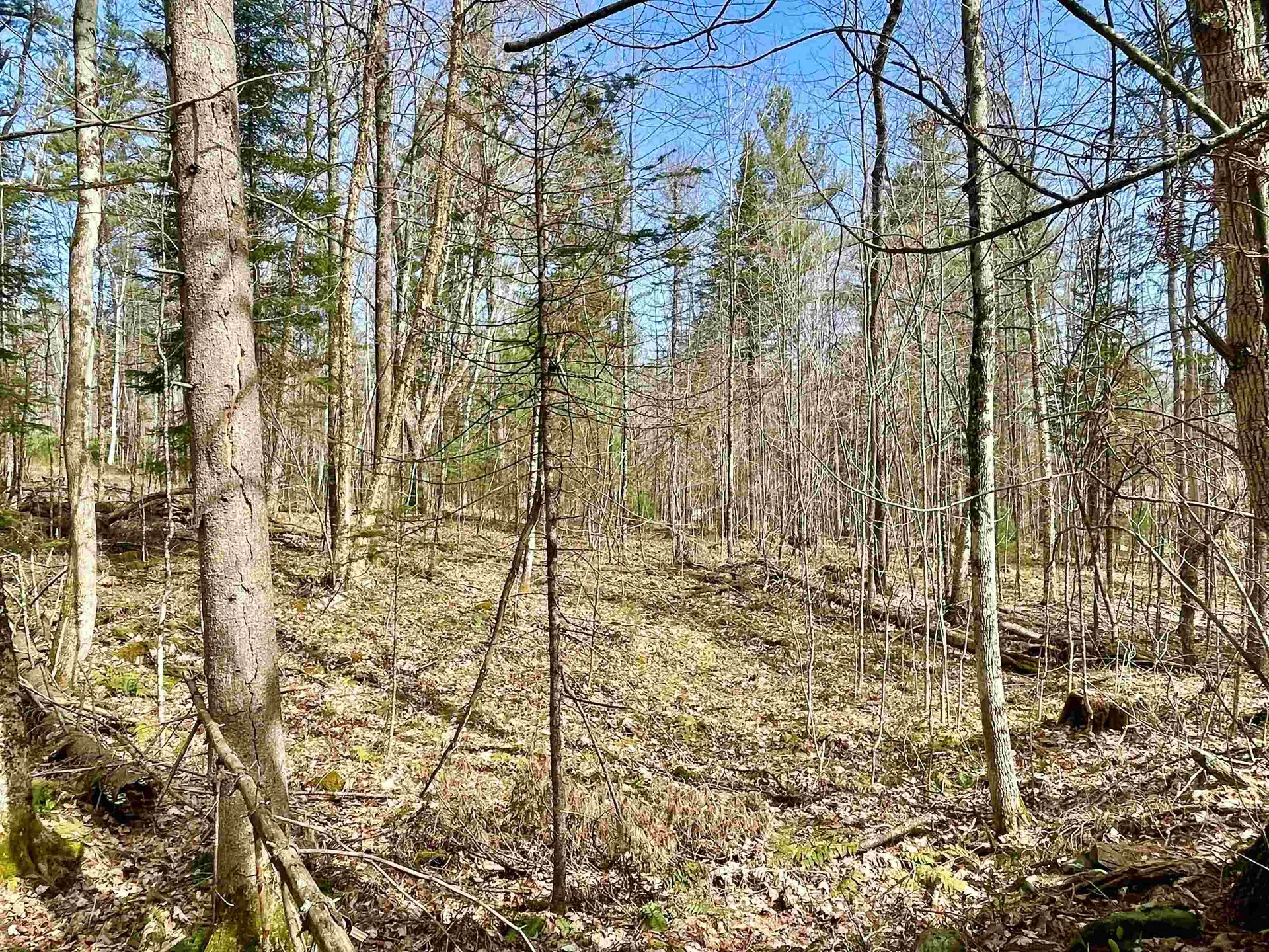 00 Deerfield Drive Haverhill NH 03785