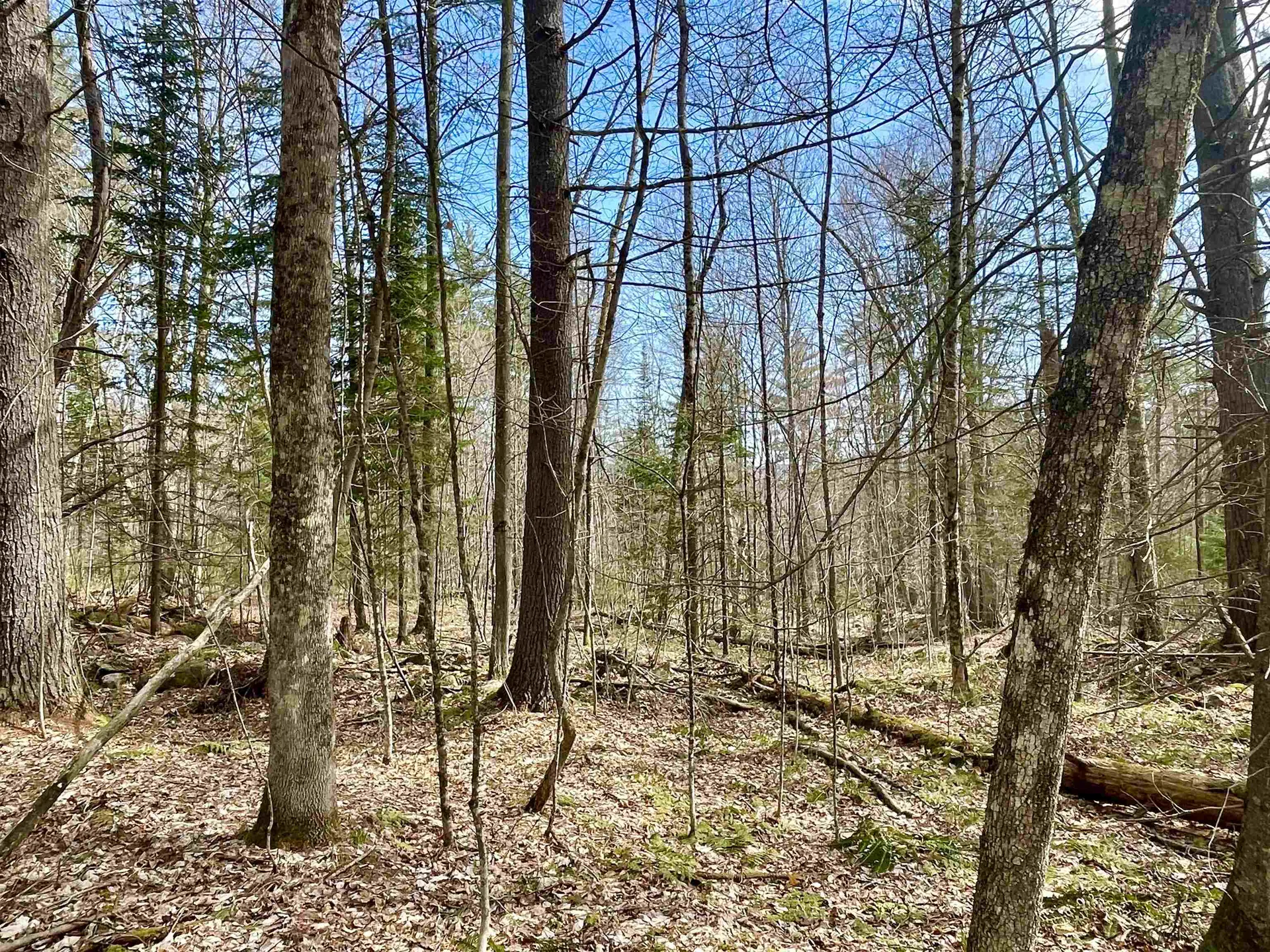 00 Deerfield Drive Haverhill NH 03785