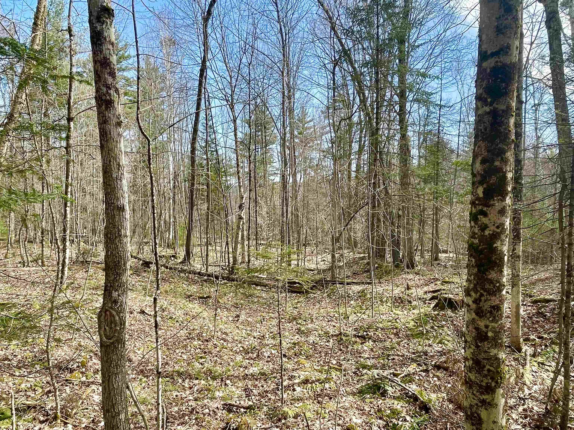 00 Deerfield Drive Haverhill NH 03785
