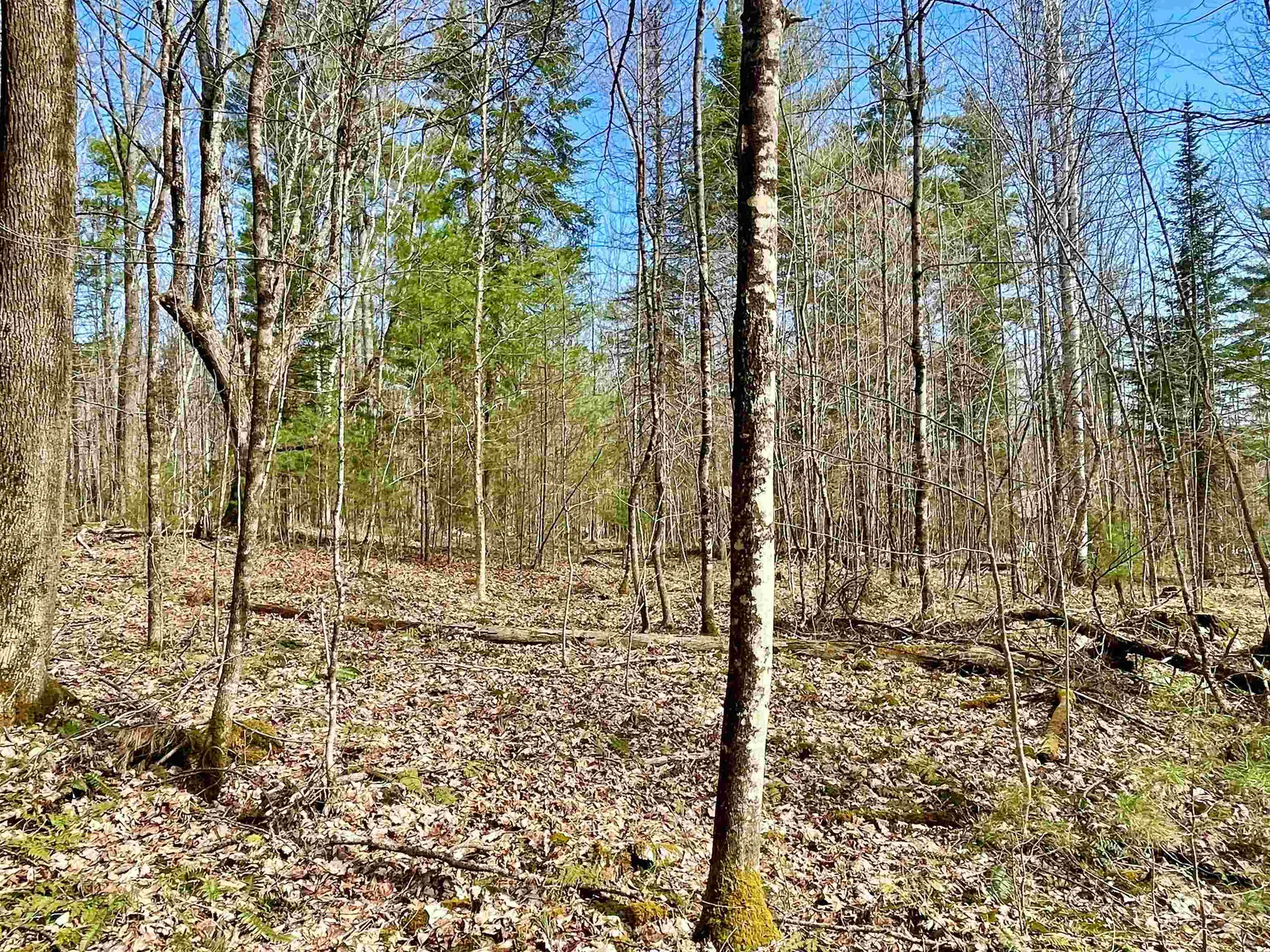 00 Deerfield Drive Haverhill NH 03785