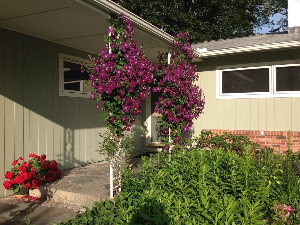 315 Champlain Drive Shelburne VT 05482