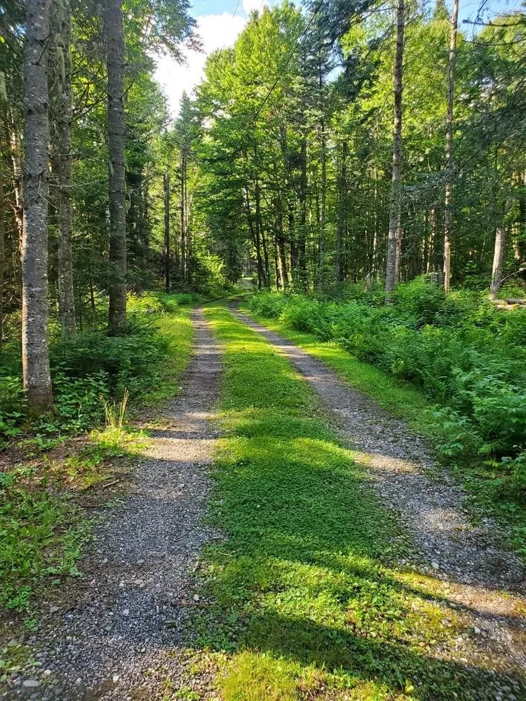 3376 N Main Street Pittsburg NH 03592