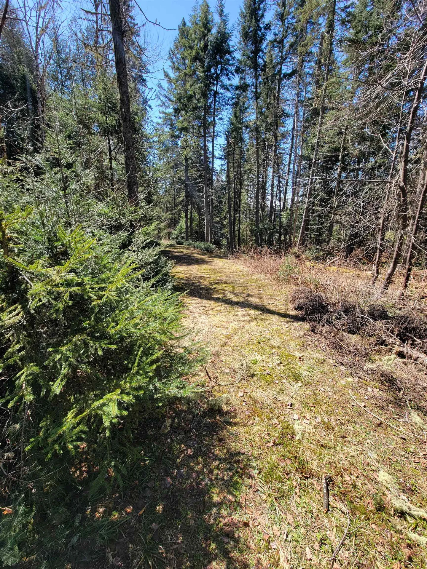 3376 N Main Street Pittsburg NH 03592