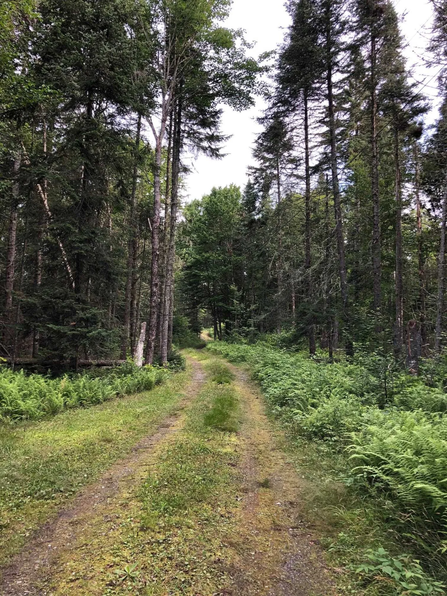 3376 N Main Street Pittsburg NH 03592