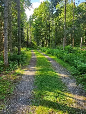 3376 N Main Street Pittsburg NH 03592