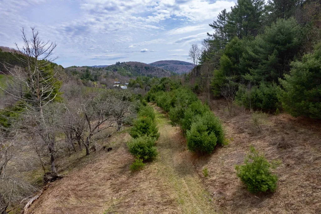 113 Spring Road Tunbridge VT 05077