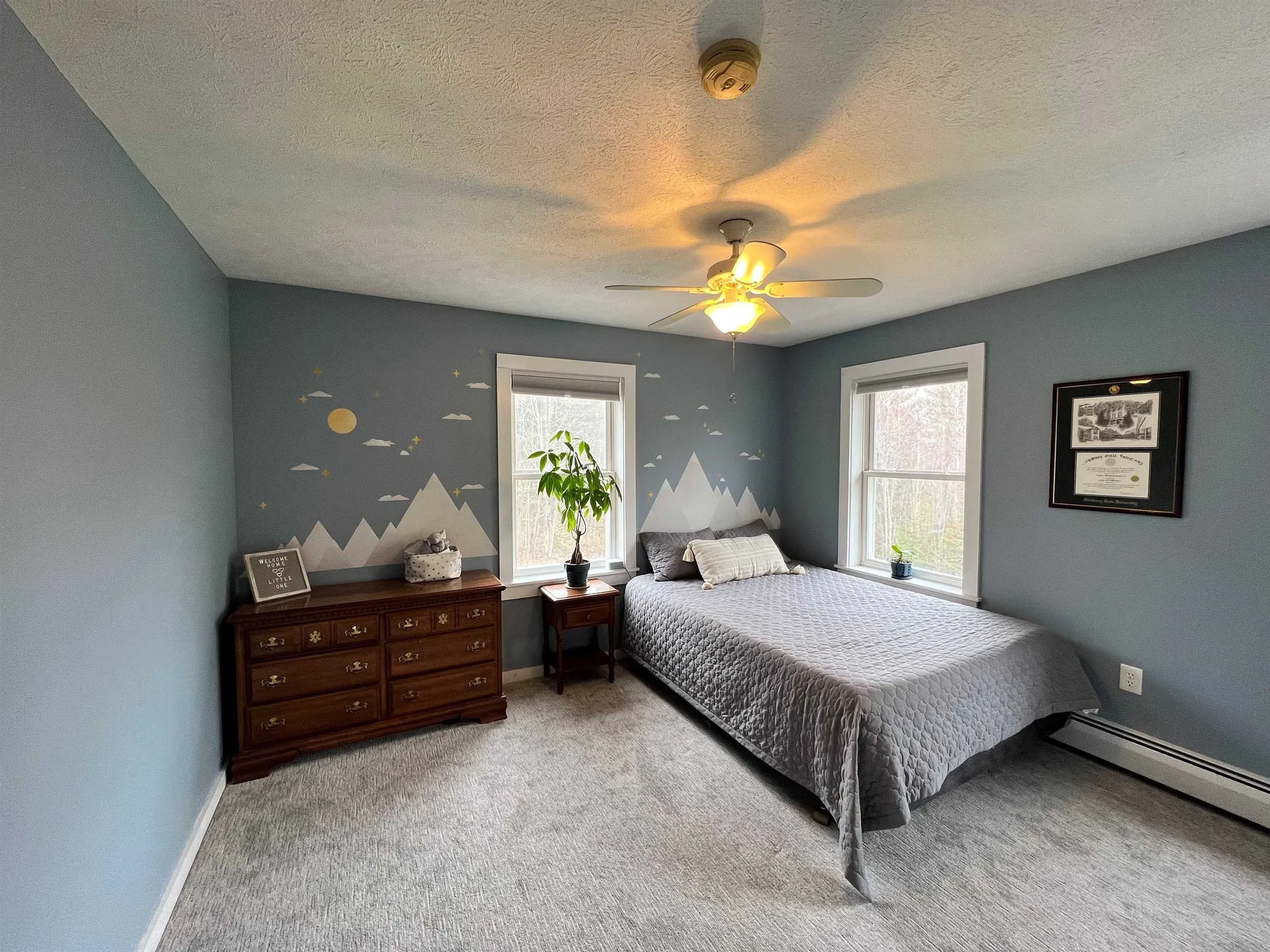 9 White Tail Lane Canaan NH 03741