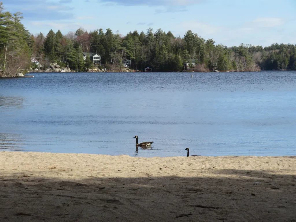 82 Suissevale Avenue Moultonborough NH 03254