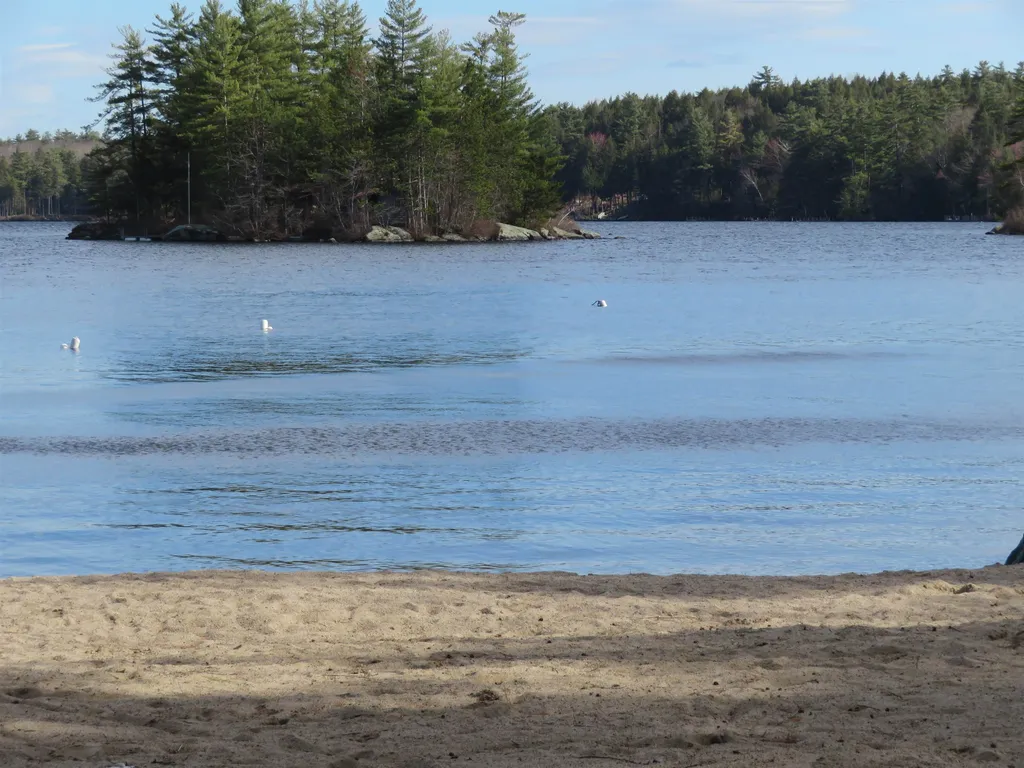 82 Suissevale Avenue Moultonborough NH 03254