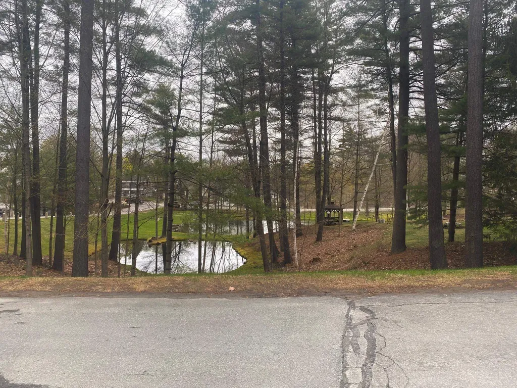 6 Pheasant Lane Claremont NH 03743