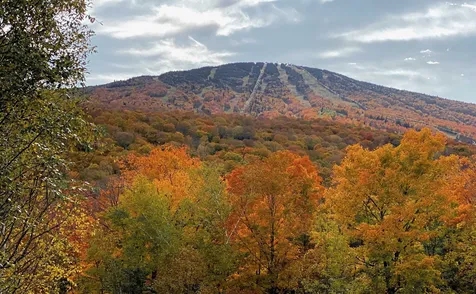 G-11 Cobble Ridge Road Winhall VT 05340