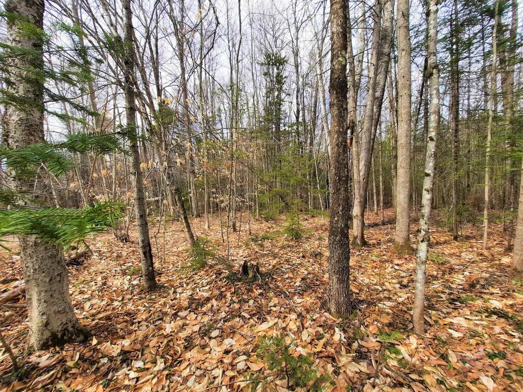 Off Ellsworth Hill Road Campton NH 03223