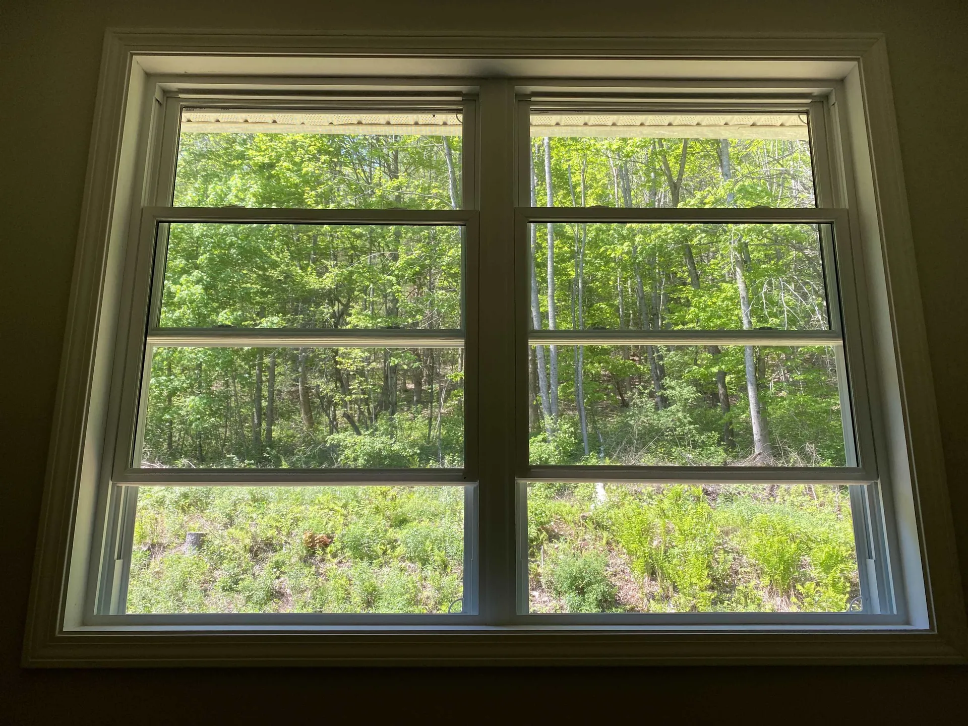 40 George Street Montpelier VT 05602