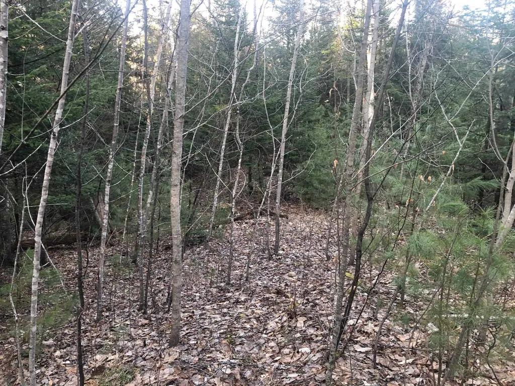 Wild Ammonoosuc Road Haverhill NH 03785