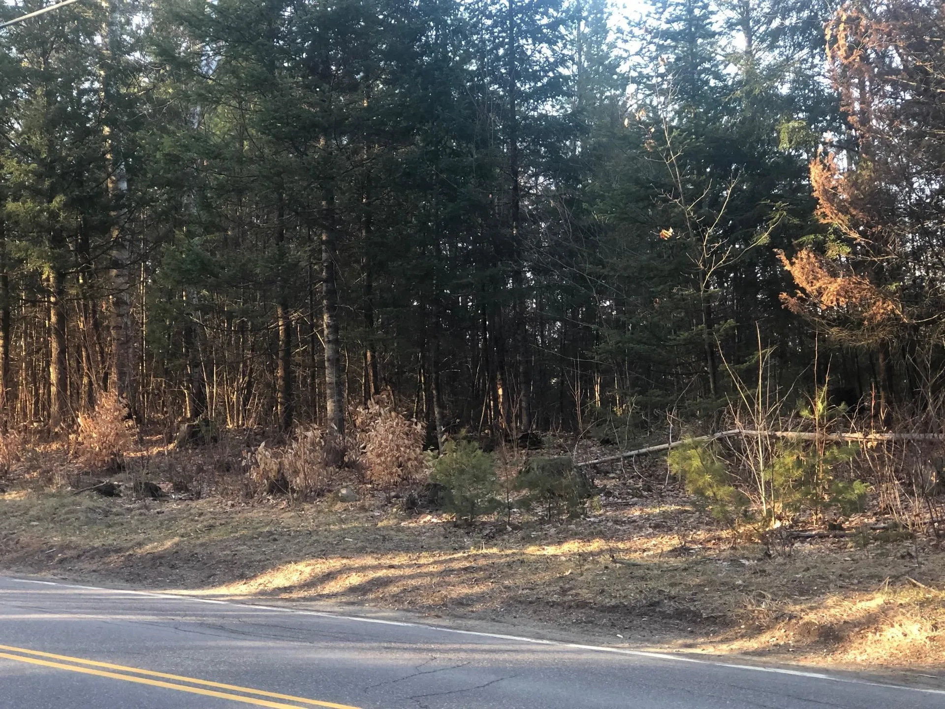 Wild Ammonoosuc Road Haverhill NH 03785