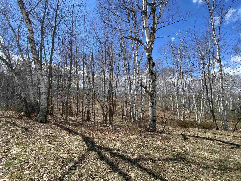 132 Advent Hill Road Hartland VT 05048