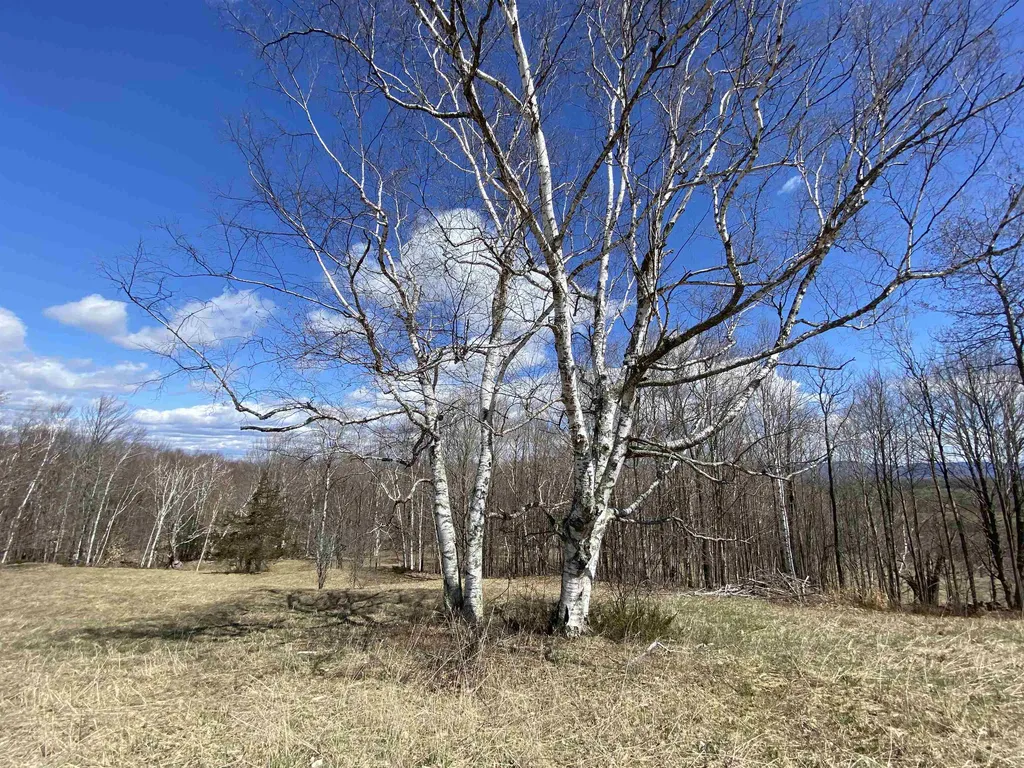 132 Advent Hill Road Hartland VT 05048