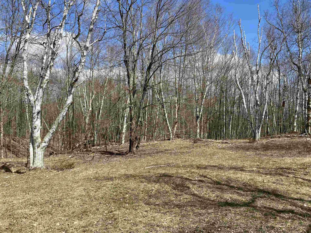 132 Advent Hill Road Hartland VT 05048