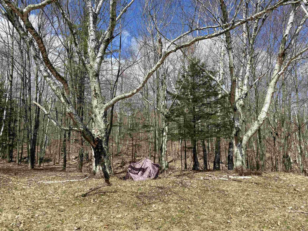 132 Advent Hill Road Hartland VT 05048