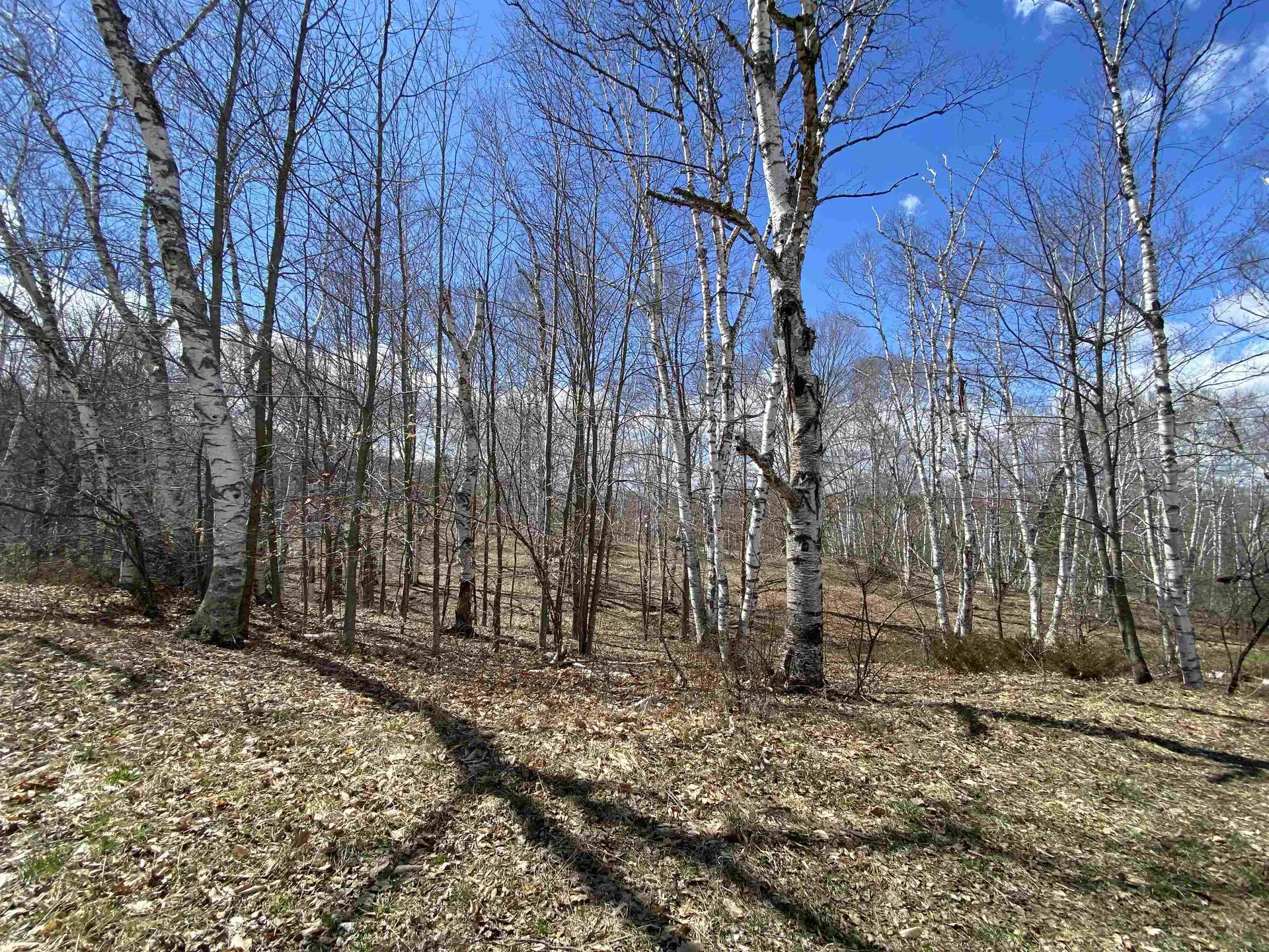 132 Advent Hill Road Hartland VT 05048