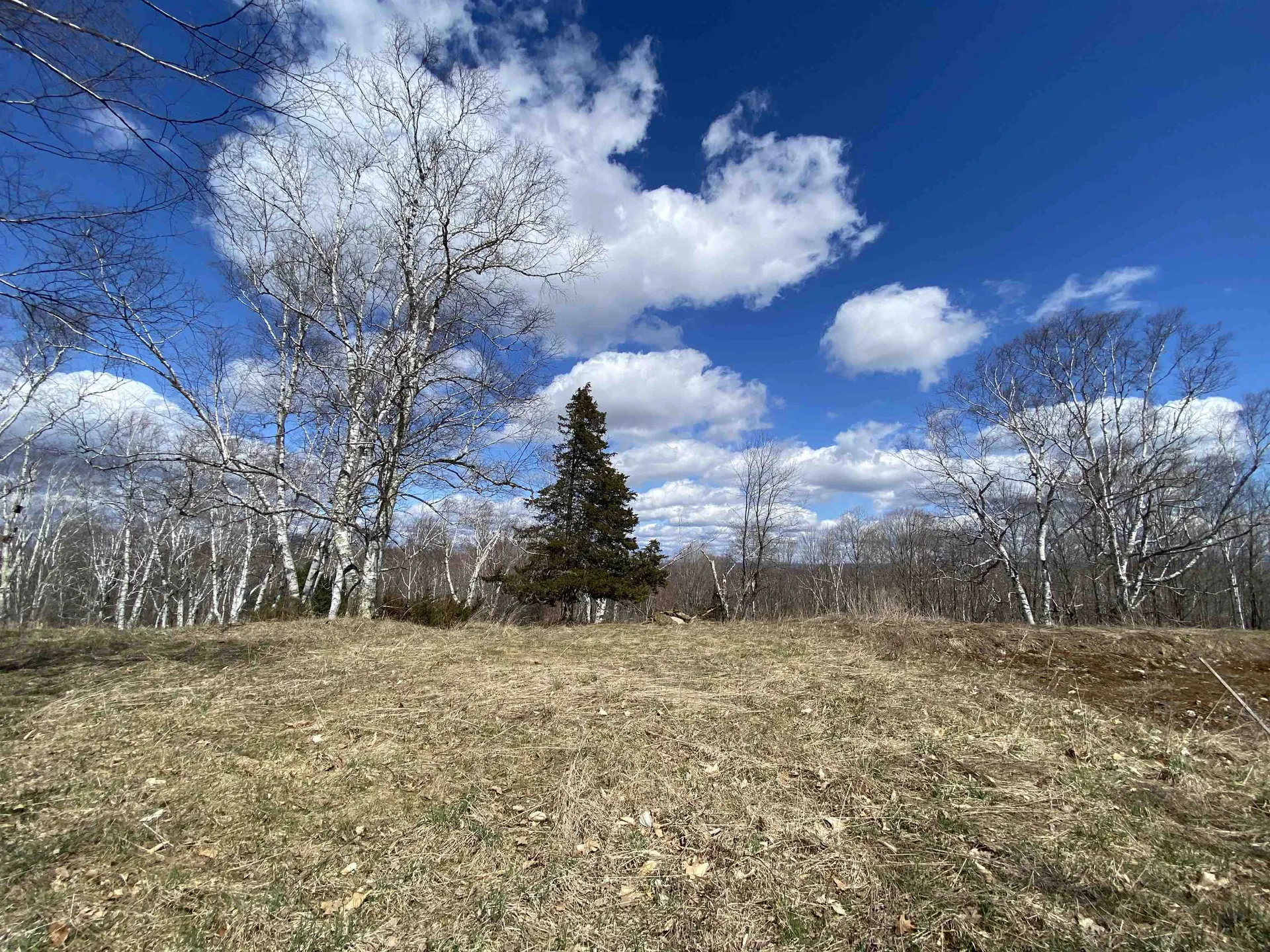 132 Advent Hill Road Hartland VT 05048