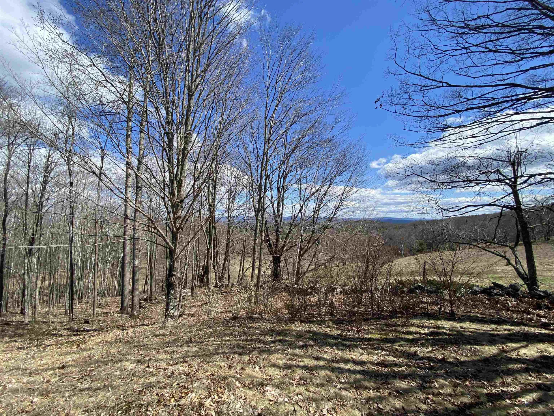 132 Advent Hill Road Hartland VT 05048