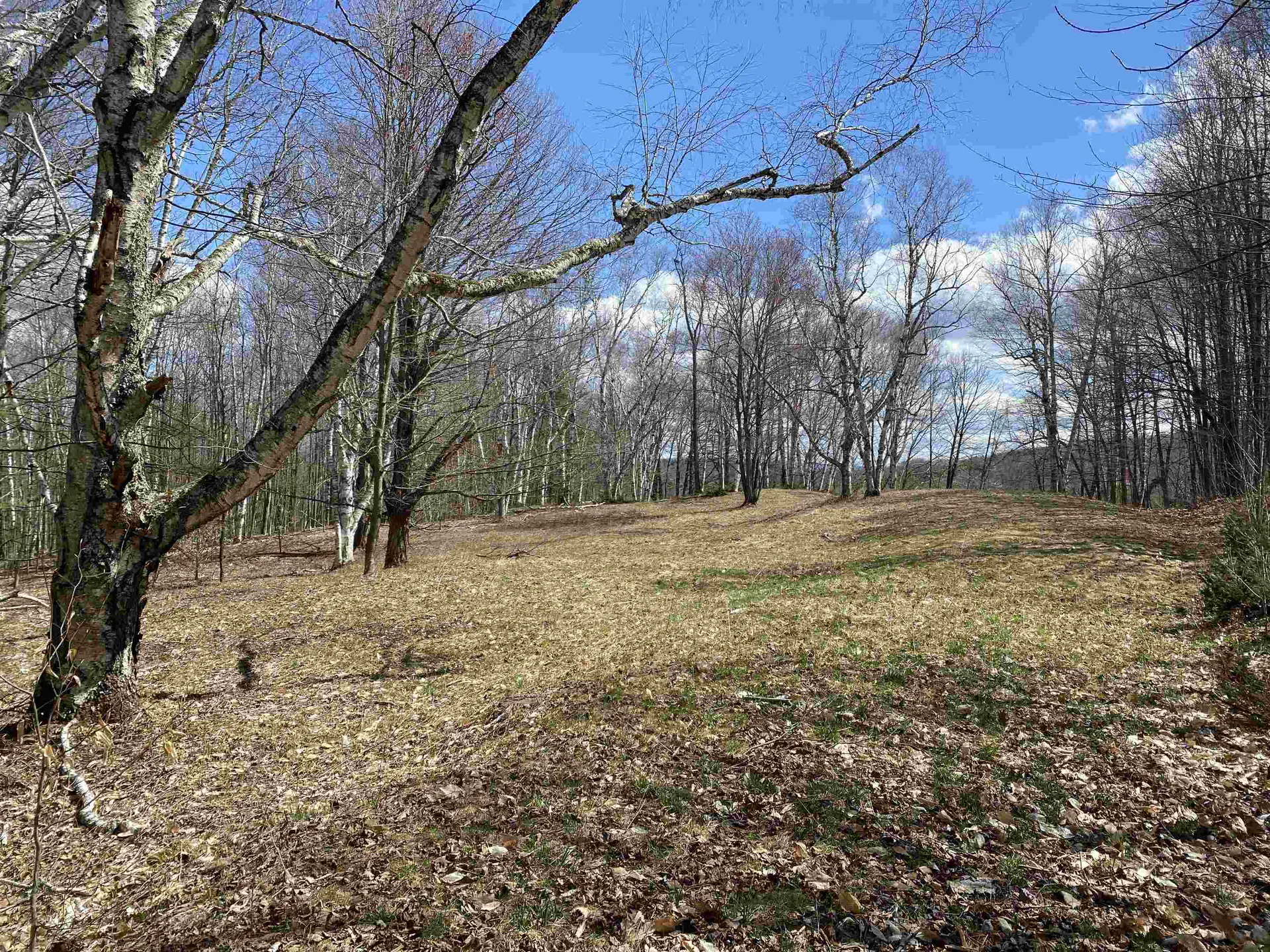 132 Advent Hill Road Hartland VT 05048