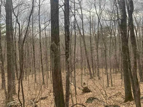 00 Red Hill Road Moultonborough NH 03254