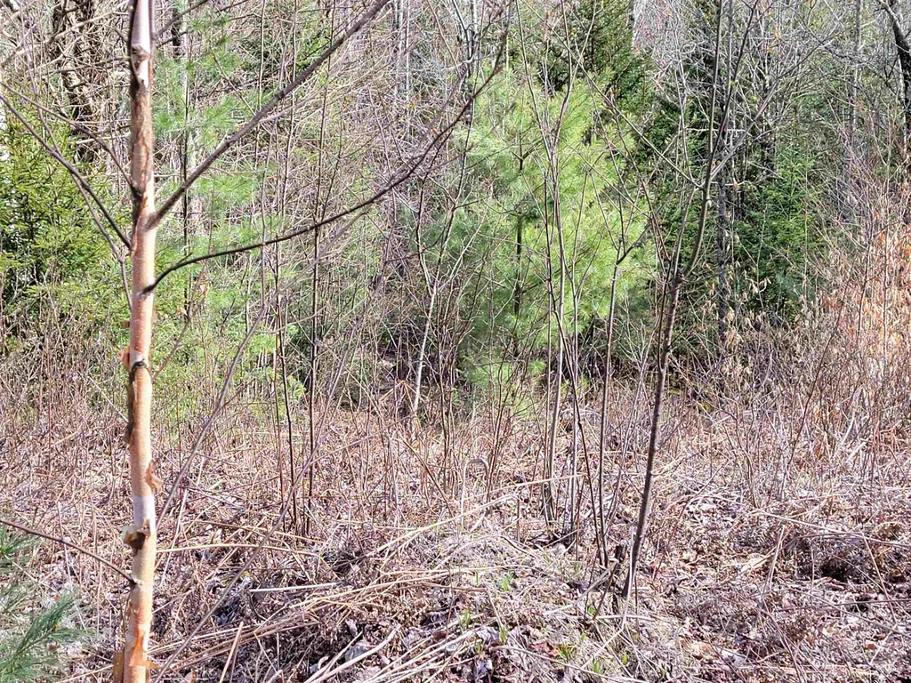 Lot 33 Katja Lane Bethlehem NH 03574