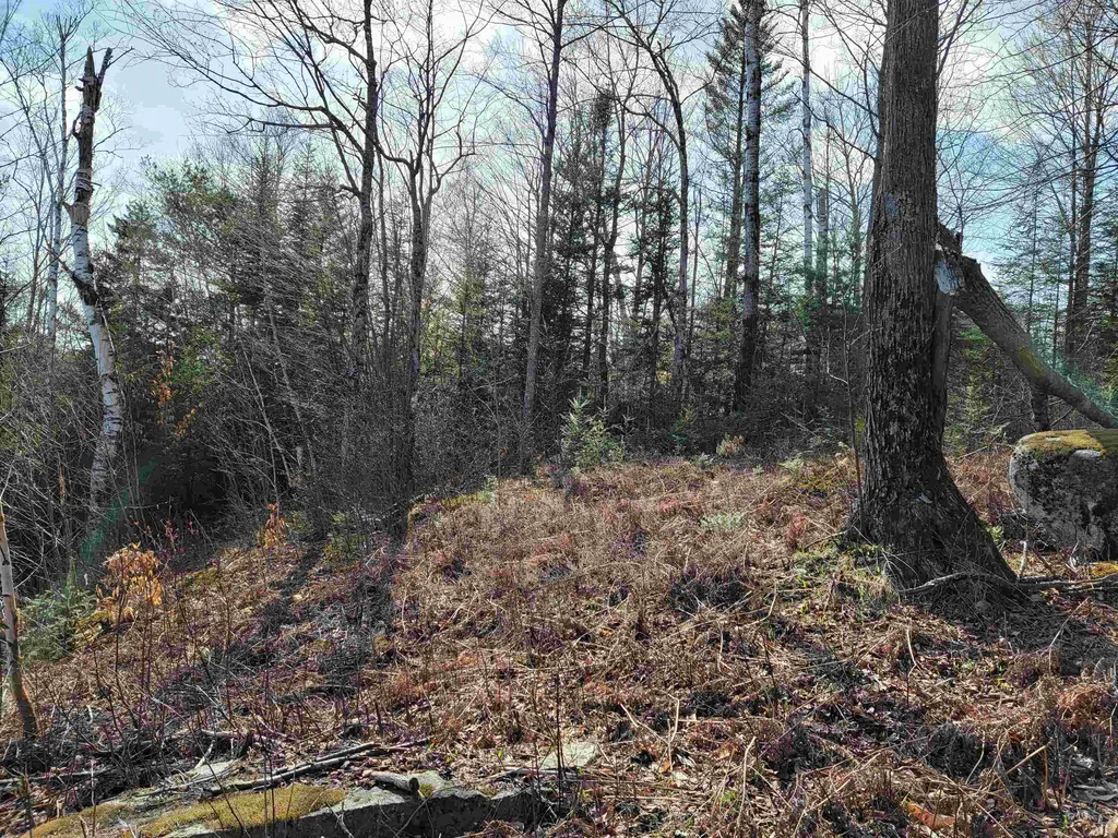 Lot 33 Katja Lane Bethlehem NH 03574