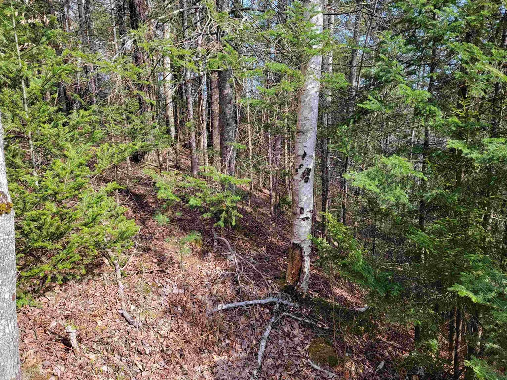 Lot 33 Katja Lane Bethlehem NH 03574