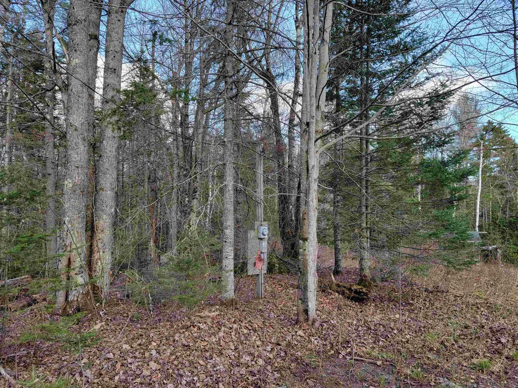 Lot 33 Katja Lane Bethlehem NH 03574