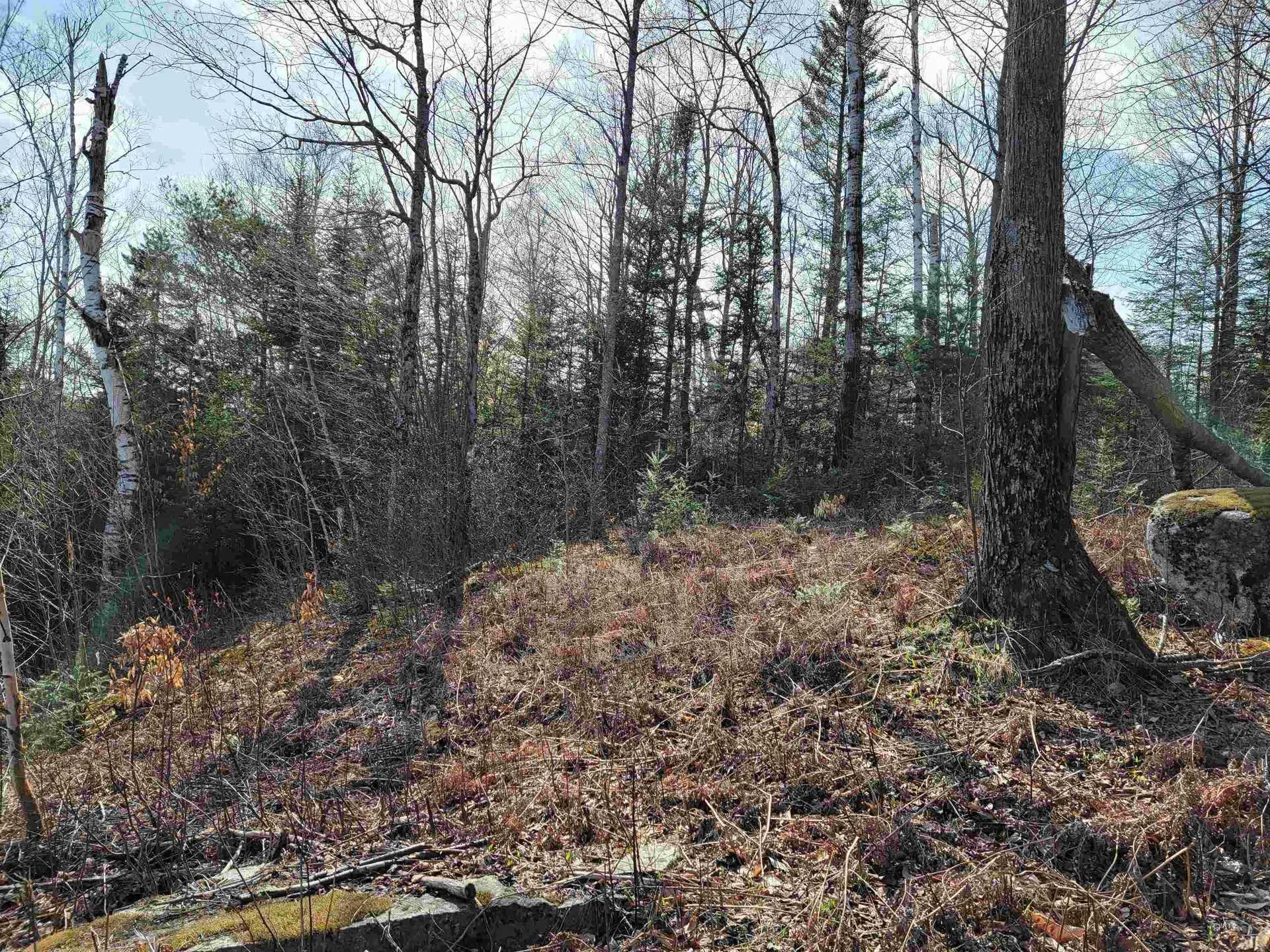 Lot 33 Katja Lane Bethlehem NH 03574