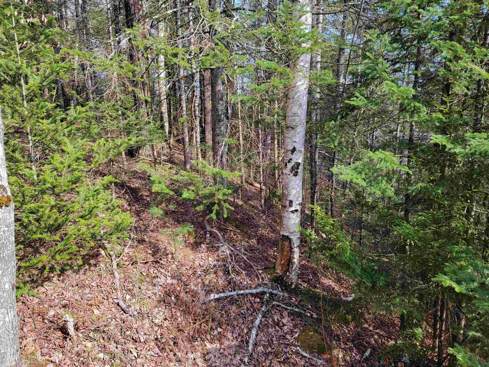Lot 33 Katja Lane Bethlehem NH 03574