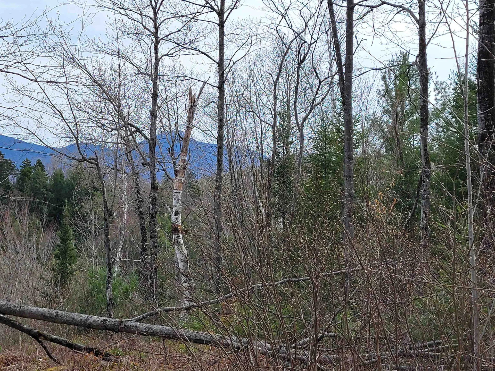 Lot 33 Katja Lane Bethlehem NH 03574