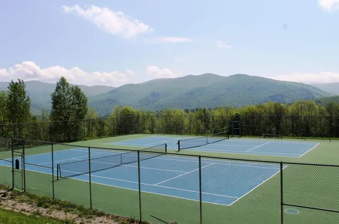 263 Sparrow Hawk Road Rochester VT 05767