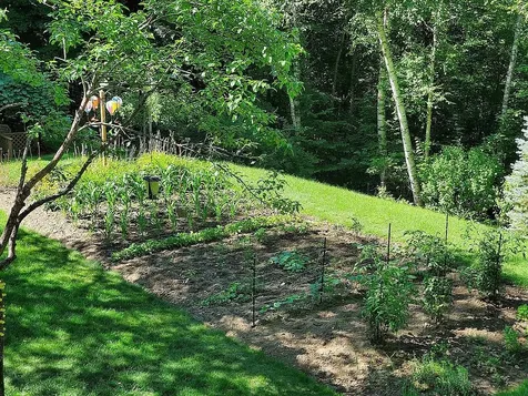 398 Sugar House Hill Road Guilford VT 05301