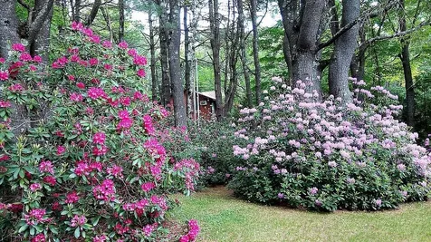 398 Sugar House Hill Road Guilford VT 05301