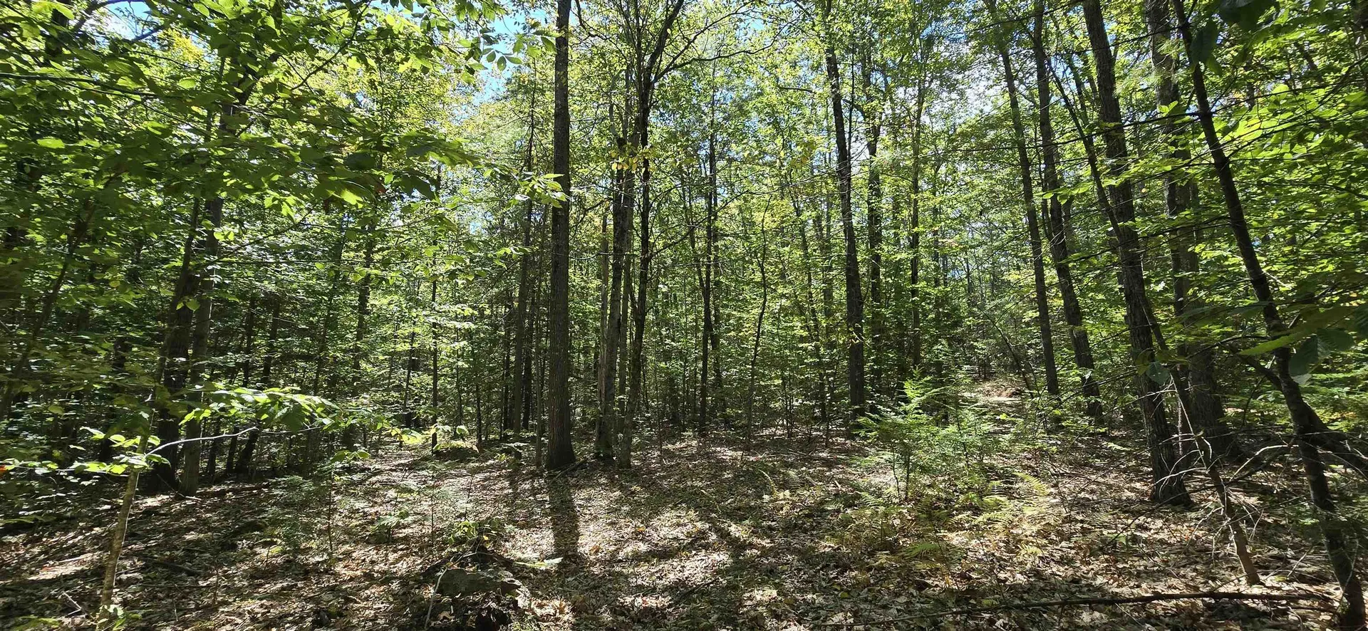 349 Sargent Road Gilmanton NH 03237