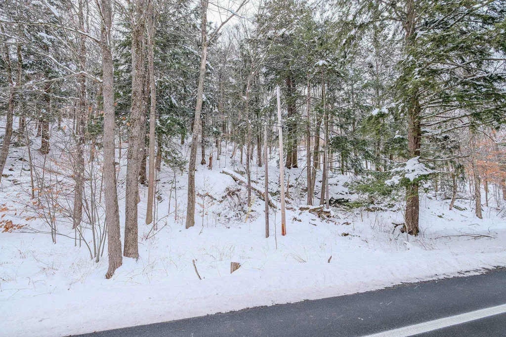 1336 Route 100 Plymouth VT 05056
