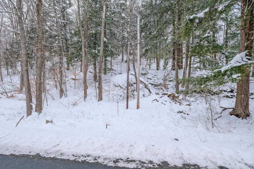 1336 Route 100 Plymouth VT 05056