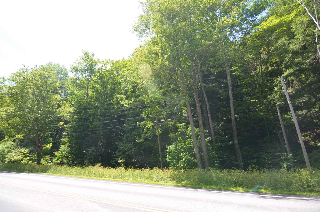 1336 Route 100 Plymouth VT 05056
