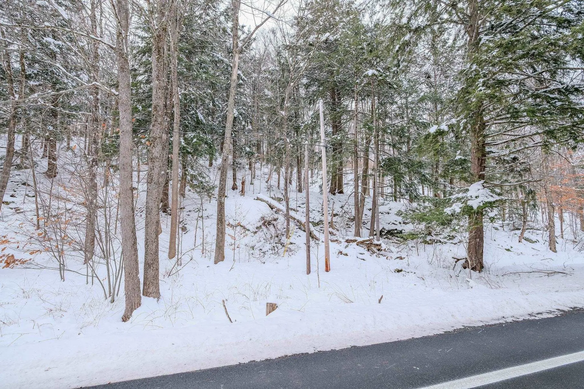 1336 Route 100 Plymouth VT 05056