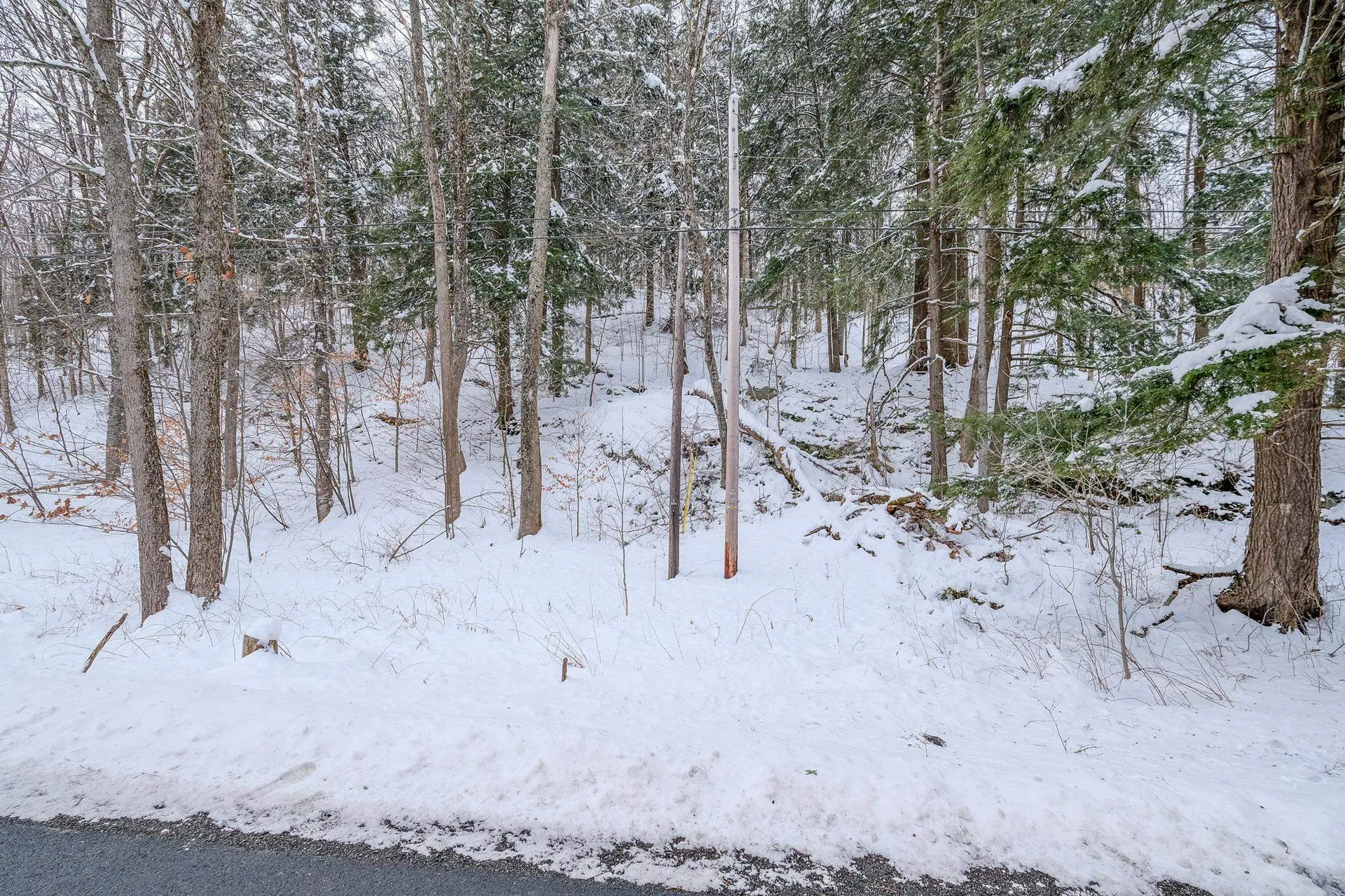 1336 Route 100 Plymouth VT 05056