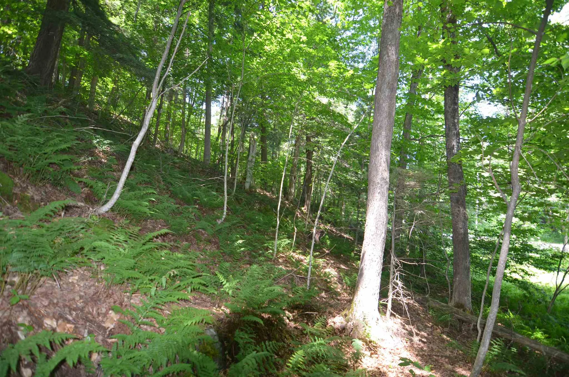 1336 Route 100 Plymouth VT 05056